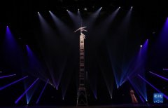 通讯：中国杂技“奇妙之夜”让法国青少年着